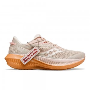 Saucony Galentine's Day Triumph 21 Pink | HDKPC-5782