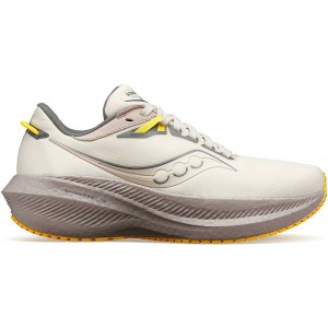 Saucony Triumph 21 RUNSHIELD Beige | BJIHY-0173