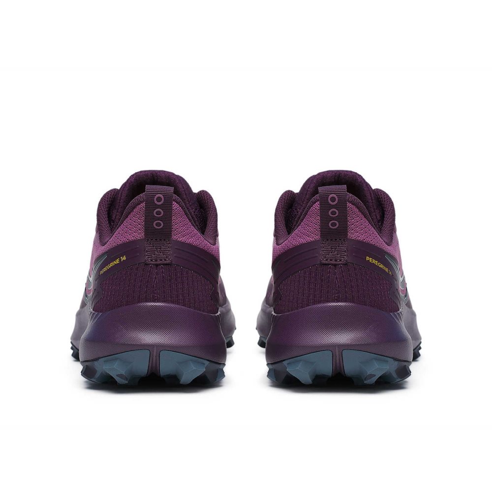 Saucony Peregrine 14 Purple | LFMRK-6742