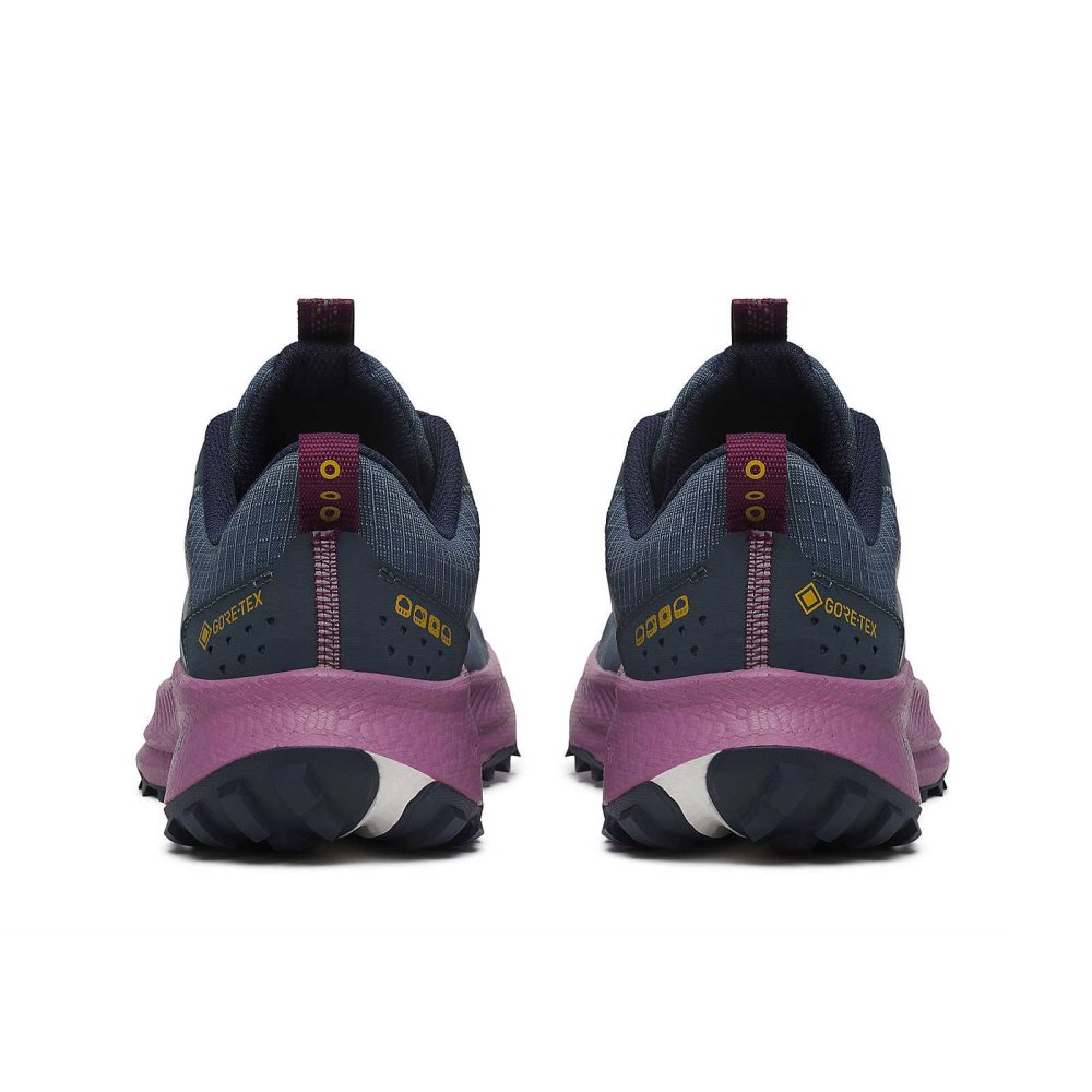 Saucony Ride TR2 GTX Purple | IDXUS-2456