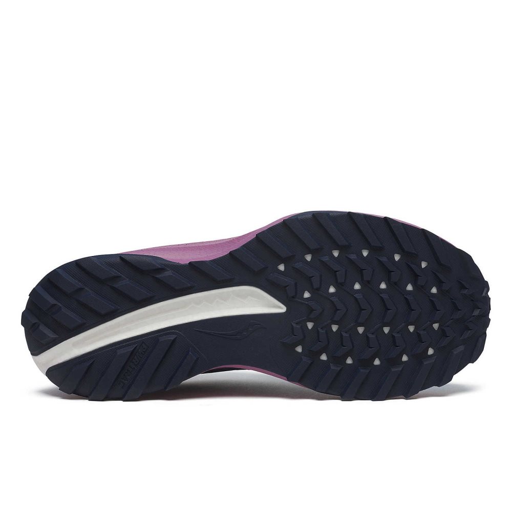 Saucony Ride TR2 GTX Purple | IDXUS-2456