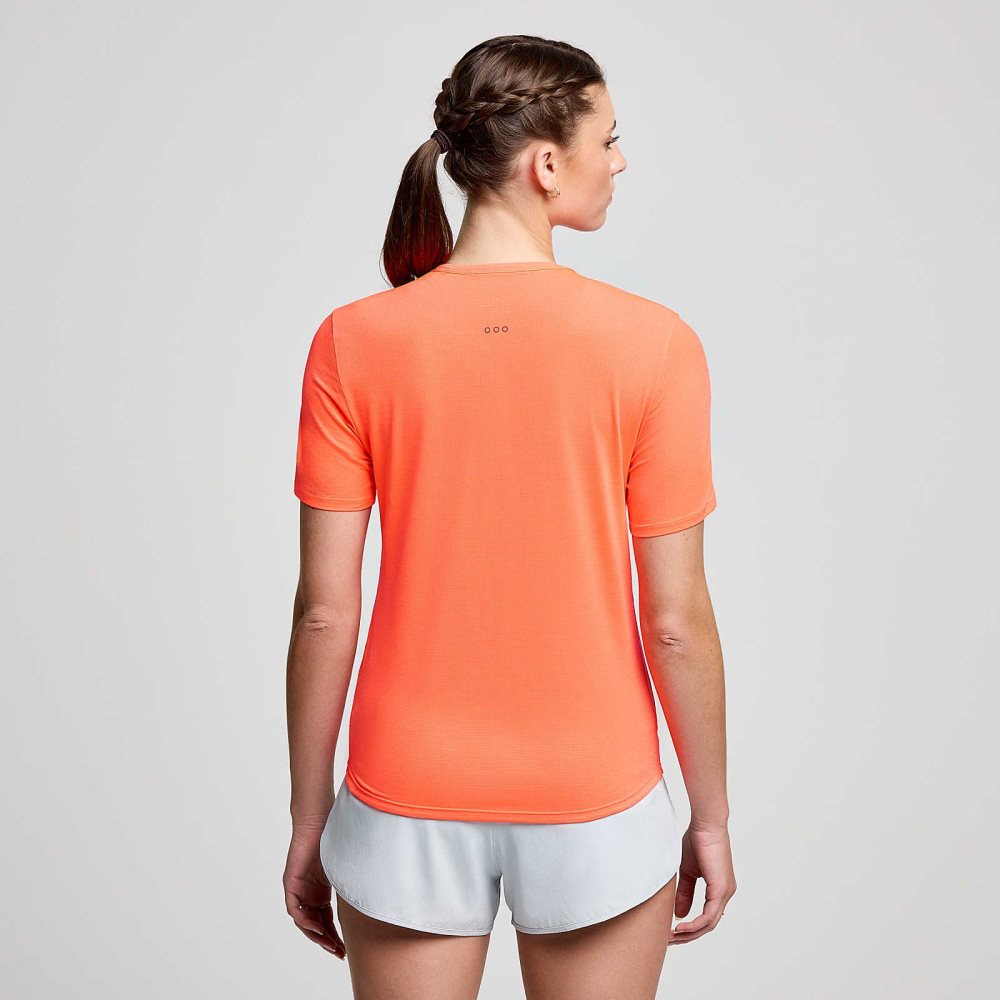 Saucony Stopwatch Short Sleeve ViZiRed | ONLBQ-8391