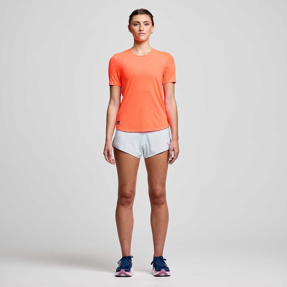 Saucony Stopwatch Short Sleeve ViZiRed | ONLBQ-8391