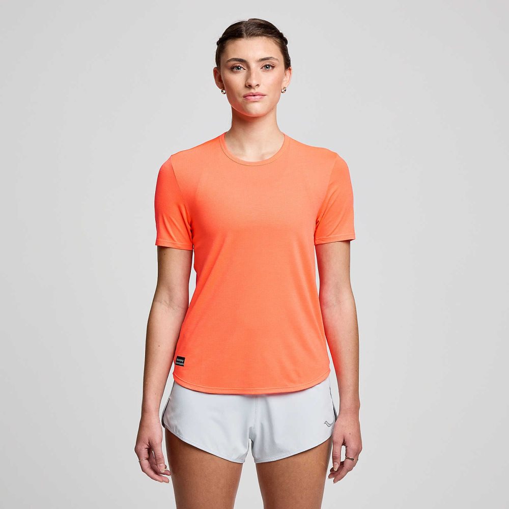 Saucony Stopwatch Short Sleeve ViZiRed | ONLBQ-8391