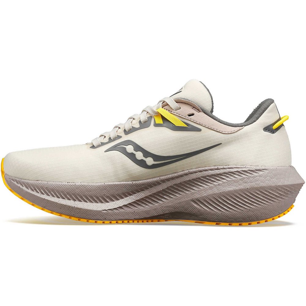 Saucony Triumph 21 RUNSHIELD Beige | BJIHY-0173